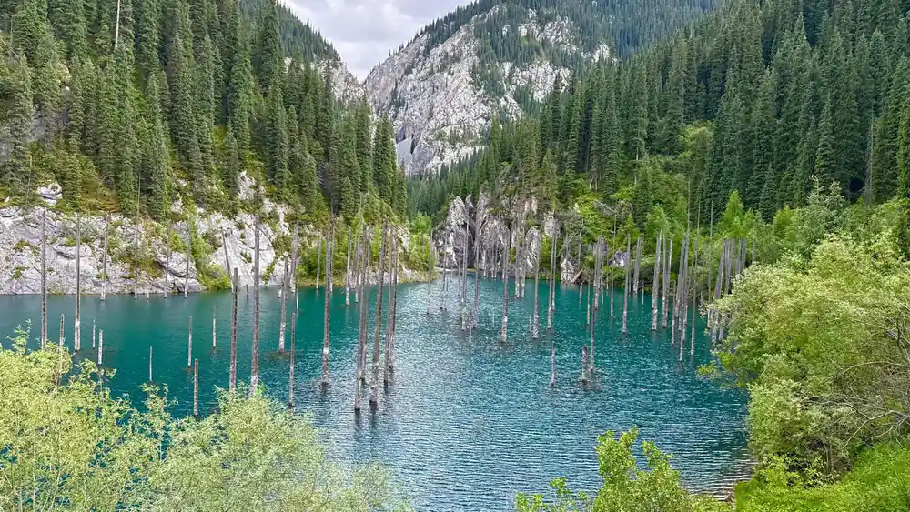 Alpine lake with coniferous forest and mountains reflected