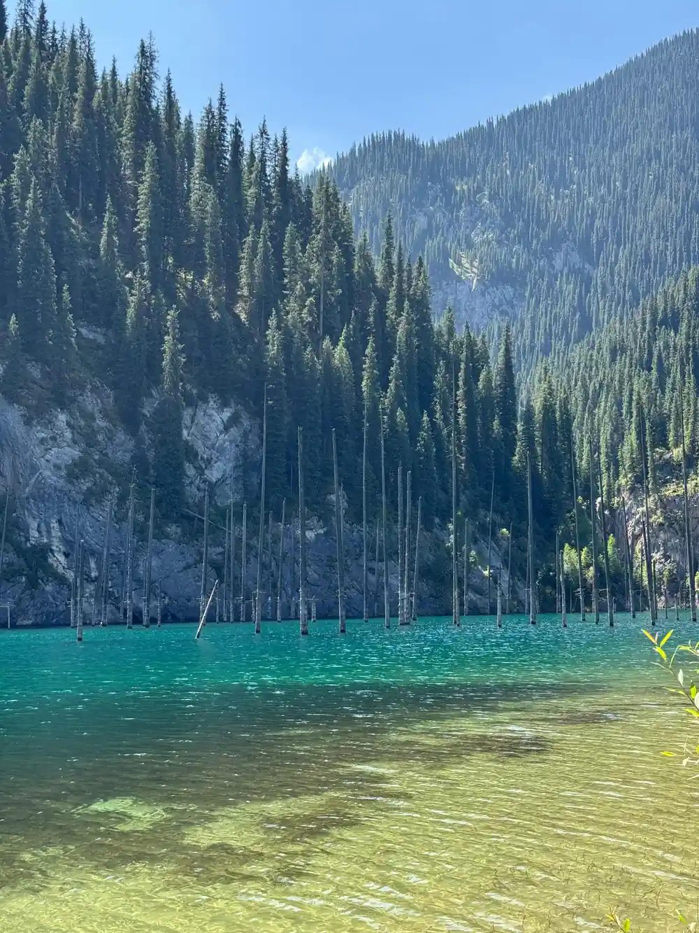 Alpine lake with dead tree stumps and forested mountains
