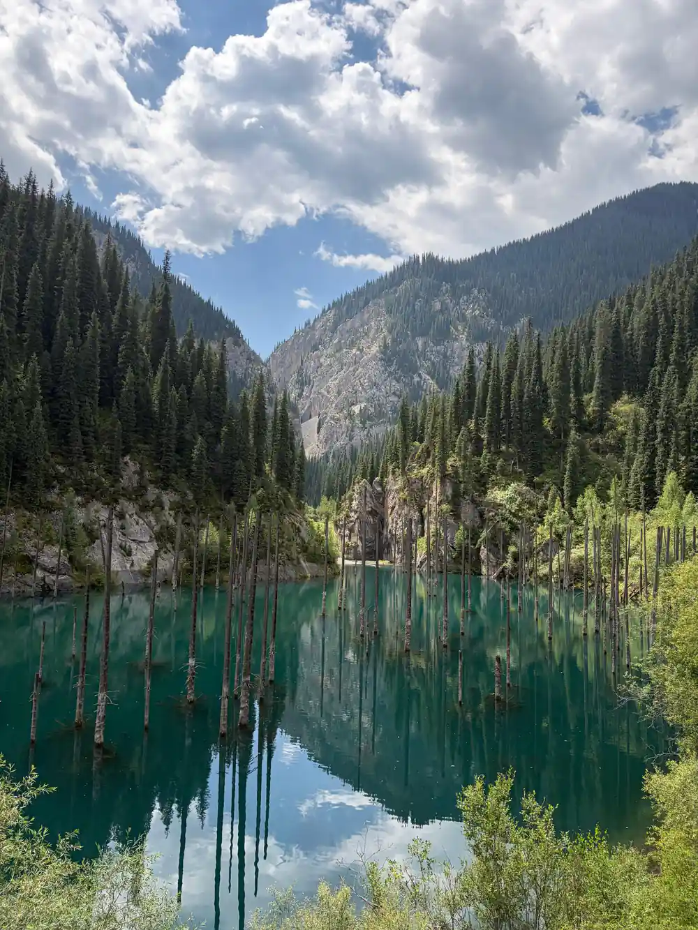 Alpine lake with submerged tree stumps and conifer forest