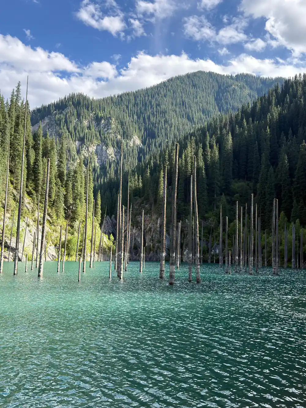 Conifer forest reflected in turquoise alpine lake water