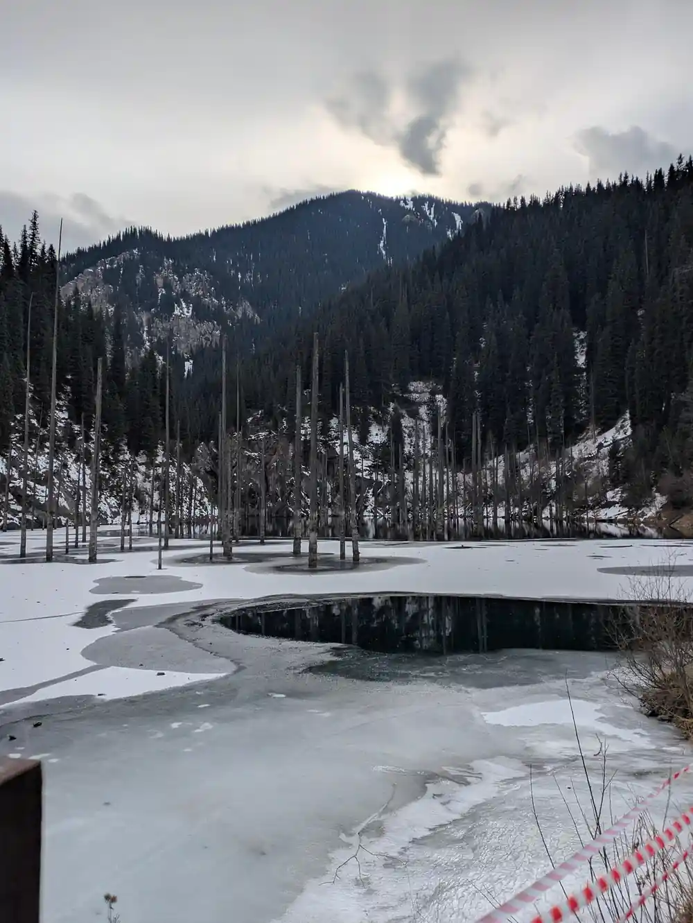 Frozen lake surrounded by coniferous forest and mountains