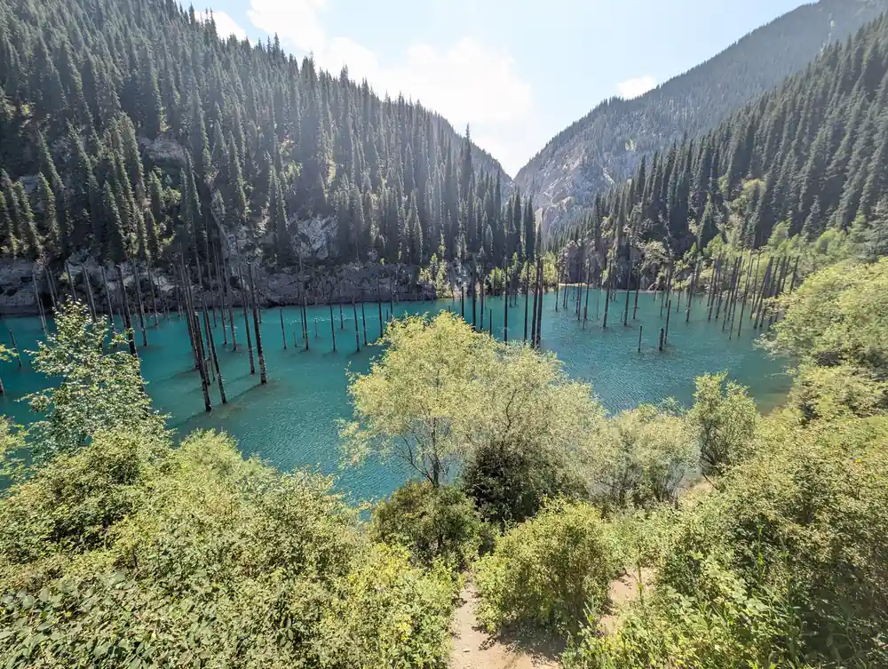 Mountain valley with turquoise lake surrounded by coniferous forest