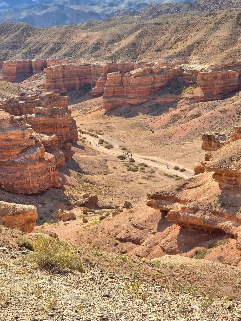 Rocky canyon formations with sparse vegetation and distant hills