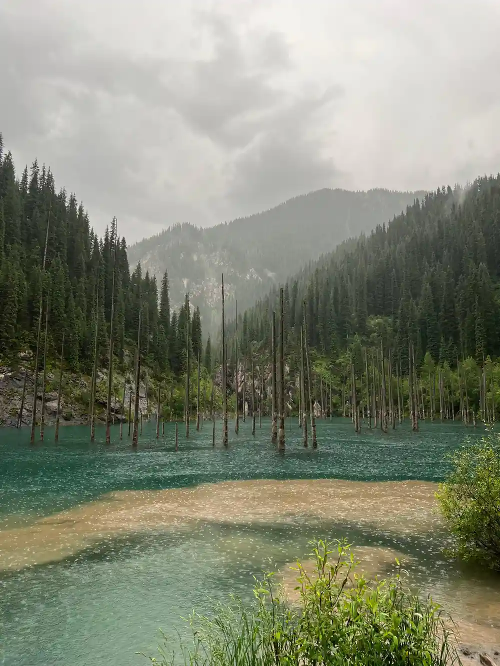 Turquoise lake with dead tree trunks in shallow water