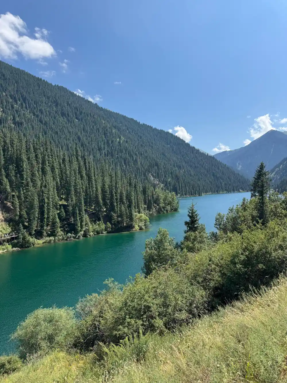 Turquoise lake surrounded by conifer forest and mountains