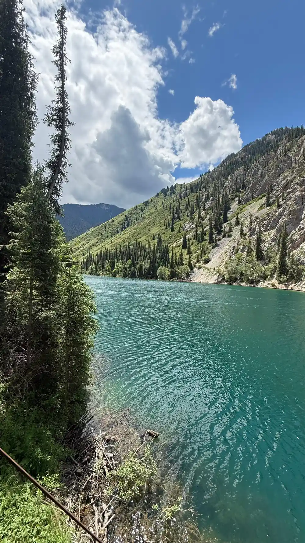 Turquoise lake surrounded by evergreen forest and mountains