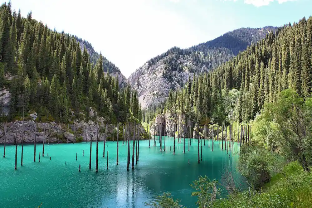 Turquoise lake surrounded by evergreen forest and mountains