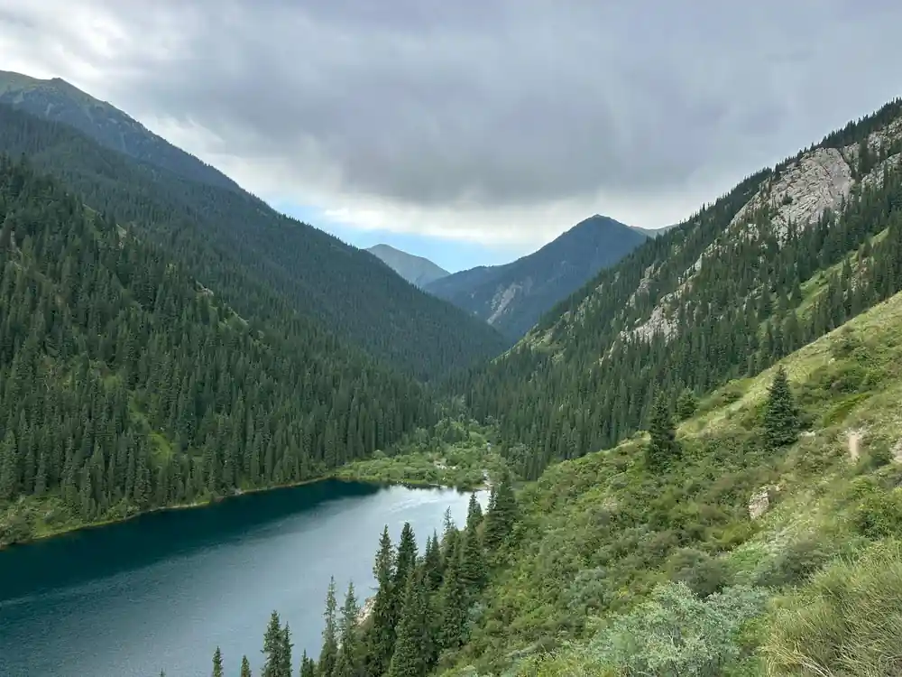 Valley with conifer forest and alpine lake below