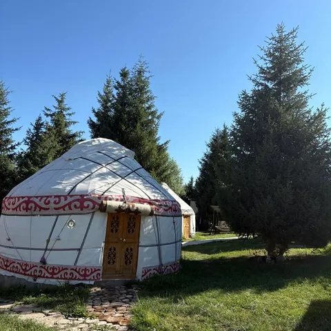 A yurt standing among pine trees in the mountains